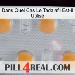 Dans Quel Cas Le Tadalafil Est-Il Utilisé 24